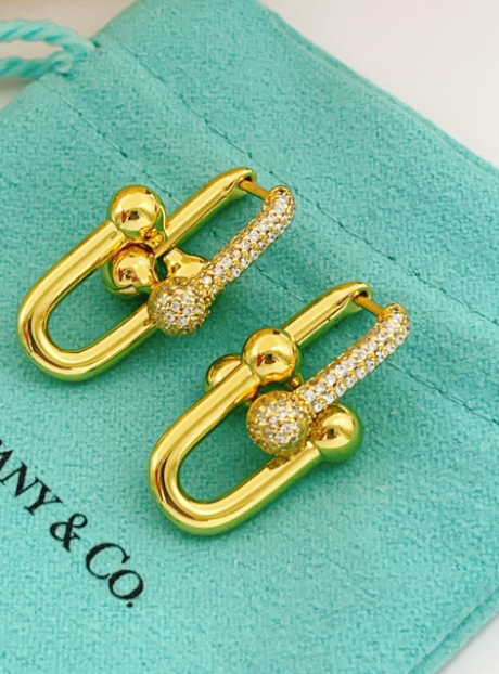 [Mystic]TF HORSESHOE BUCKLE DIAMOND EARRINGS